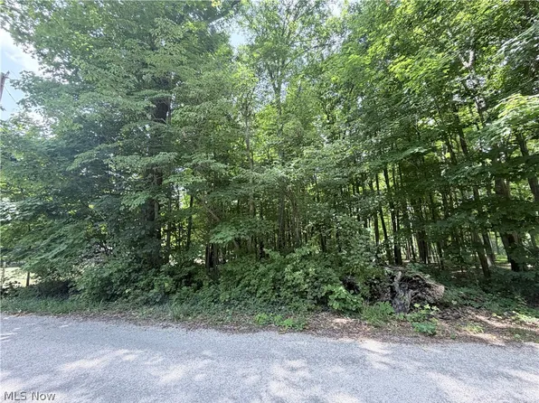 0 Lakeview Dr, Kinsman, OH 44428