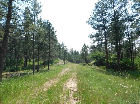 7280 Sable Road, Larkspur, CO 80118