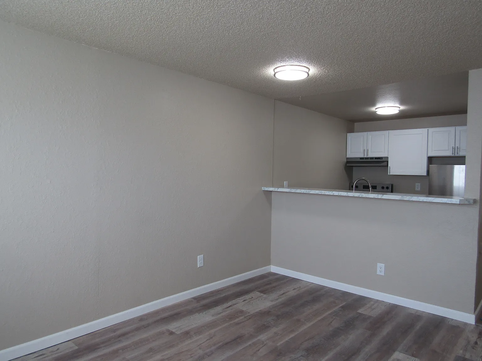 1 bed, 700 sqft, $1,325 — Photo 4