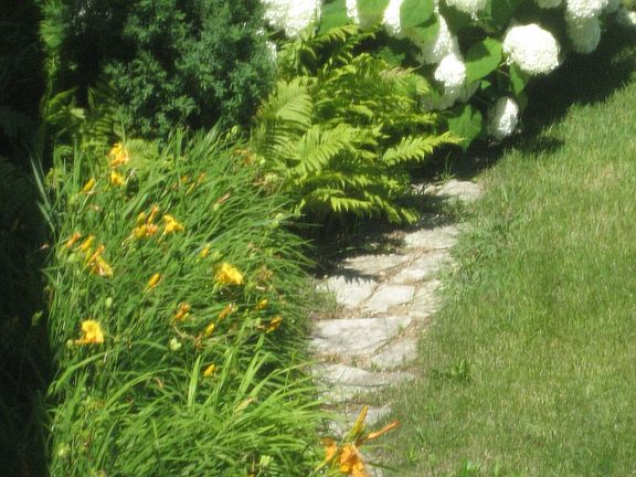 Flower path by Koi pond