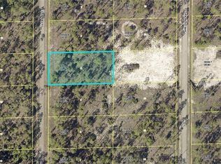1316 Glenn Ave, Lehigh Acres, FL 33972