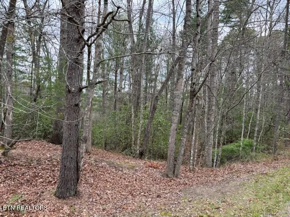 LOT 13 Flats Rd, Tallassee, TN 37878