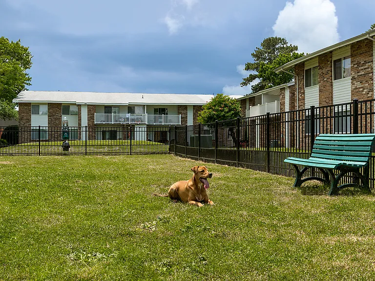 Pet Friendly Community