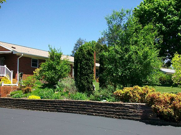 Gorgeous Blooming Garden 