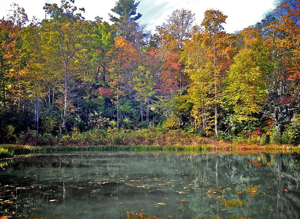 Homesite from West Club