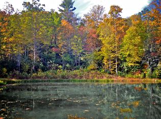 40 W Club Blvd, Lake Toxaway, NC 28747