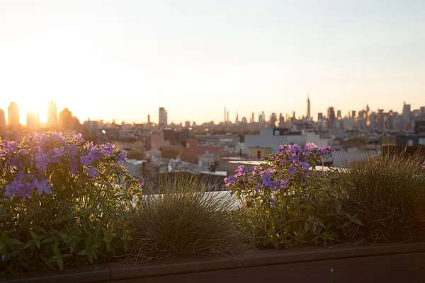 Rented by Compass | media 23