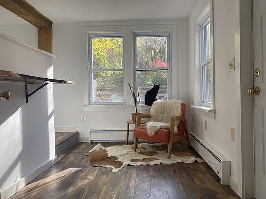 Small downstairs living space (cat not included!)