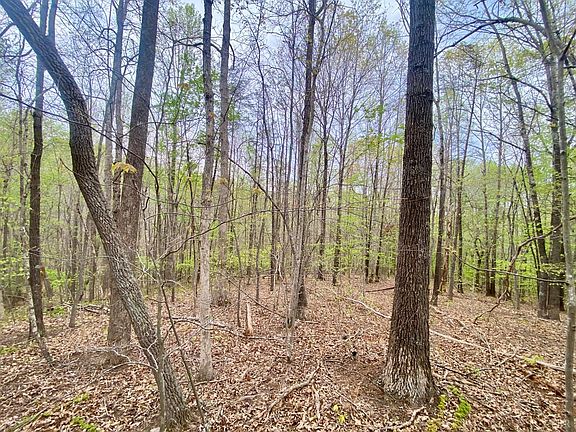 3rd image of 0 Rothwood Rd
