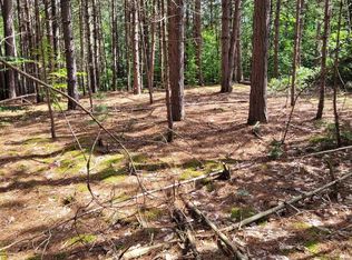 0 Lakola Rd, Leroy, MI 49655