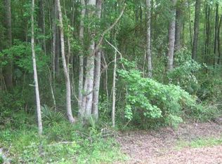 141 Harrietts Bluff Rd, Woodbine, GA 31569