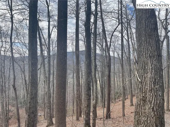 3 Jackson Ridge Road, Boone, NC 28607