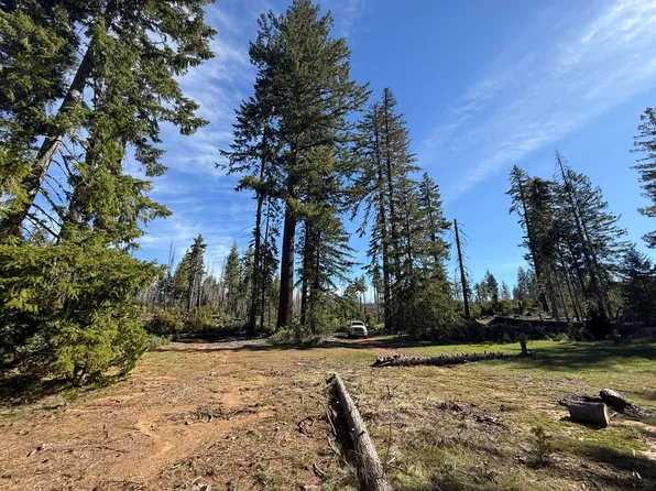 0 Swede Basin Rd #R325987, Selma, OR 97538