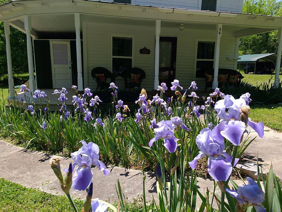 Lovely Front Flower Garden