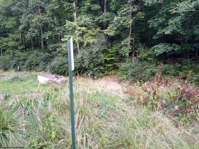 1448 Mare Run Rd, Weston, WV, 26452