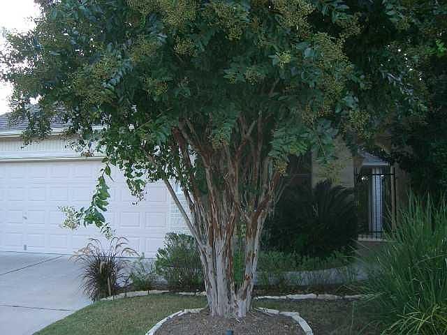 1st image of 48 Troon Dr