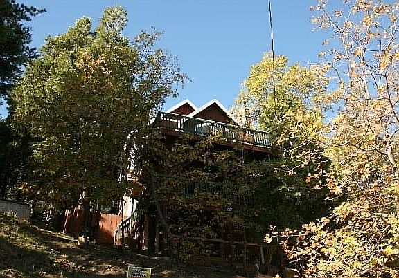 4th image of 824 Jagerhorn Dr