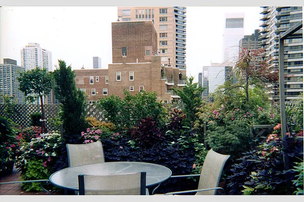 Sold by Stribling | media 16