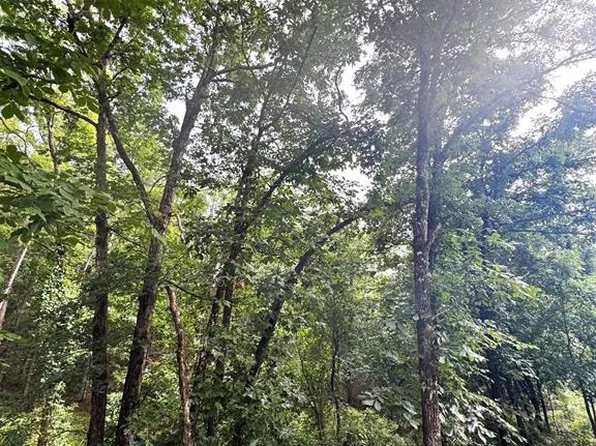 132 Western Cedar Trl, Broken Bow, OK 74728