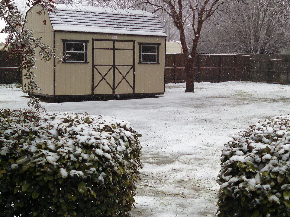 Back yard from porch 