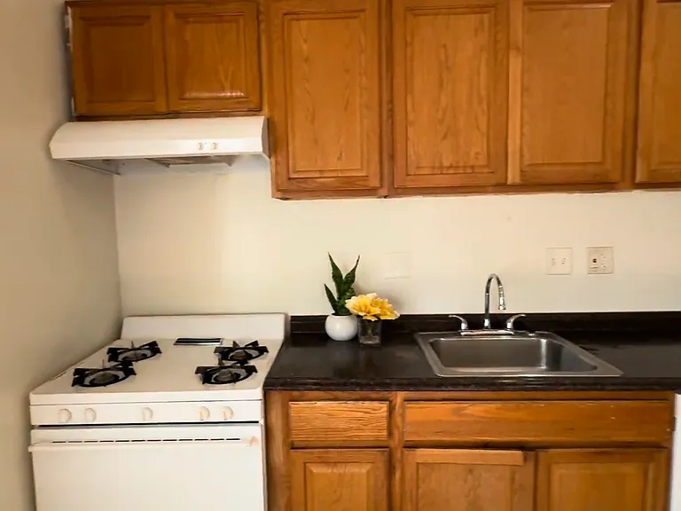 1142 W 37th Pl — Photo 14