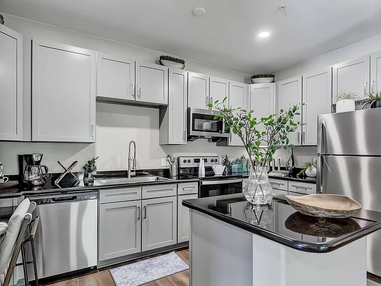 Modern Kitchen & Appliances