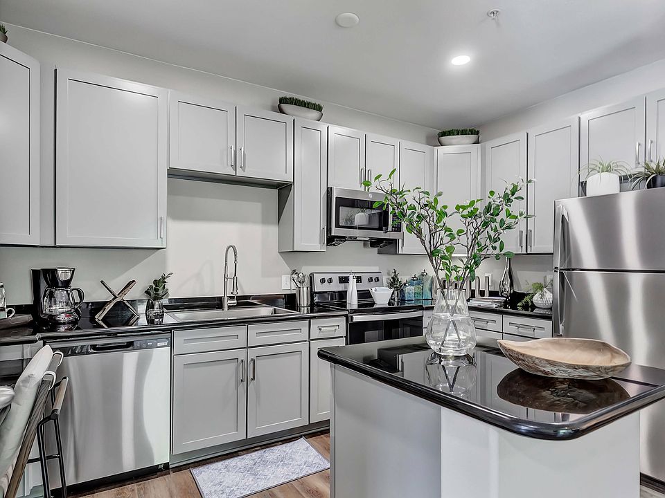 Modern Kitchen & Appliances