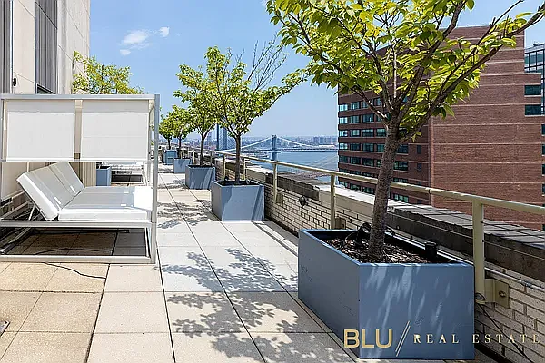 Rented by BLU Real Estate | media 25