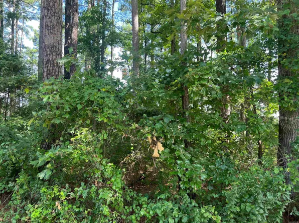 0 Dogwood Ave, White Hall, AR 71602
