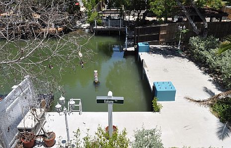 Backyard and concrete dock