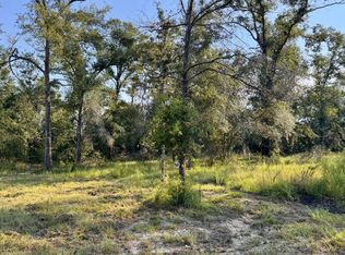 LOT 2F SW 52nd Ln, Jasper, FL 32052