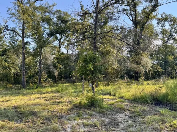 LOT 2F SW 52nd Ln, Jasper, FL 32052