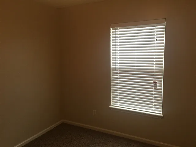 4406 Hanging Moss Dr — Photo 10