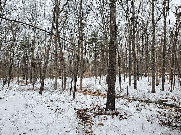 3rd image of Taconic Parway 372310