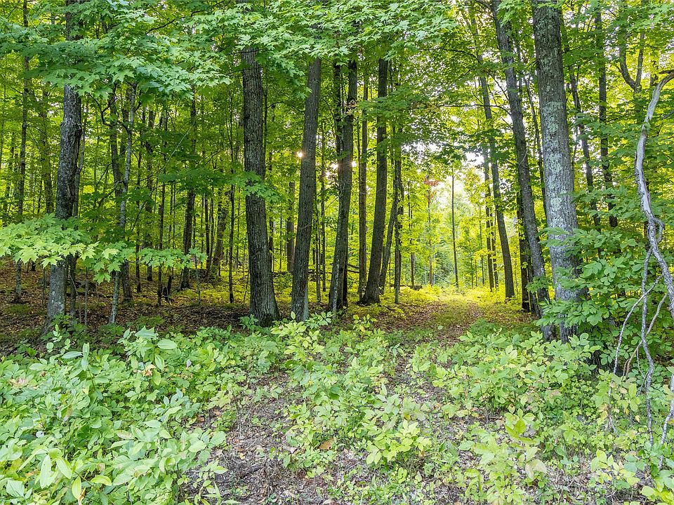 1st image of 38.2 Acres Vierck Lane