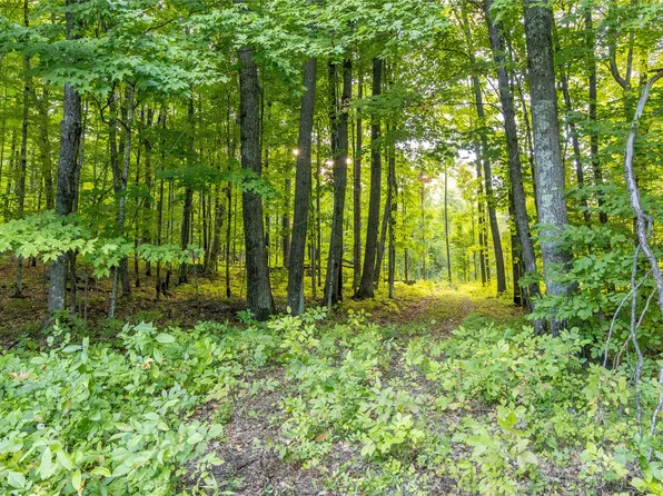 38.2 Acres Vierck Lane, Exeland, WI 54835