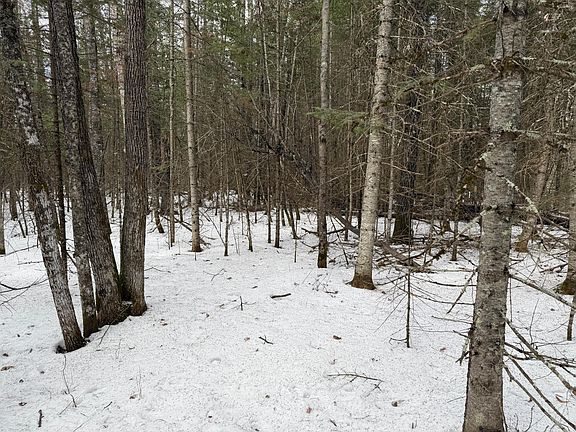 5th image of Town Rd #211