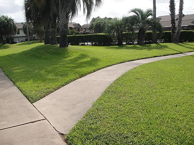 11455 Sabo Rd — Photo 11