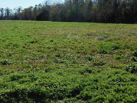 5th image of Adam Blvd