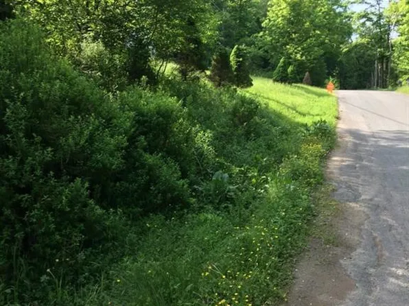 Benton Hollow Rd, Liberty, NY 12754