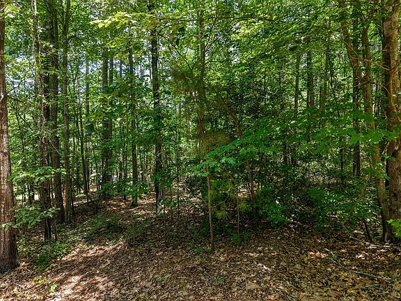 3rd image of 190 Longleaf Dr