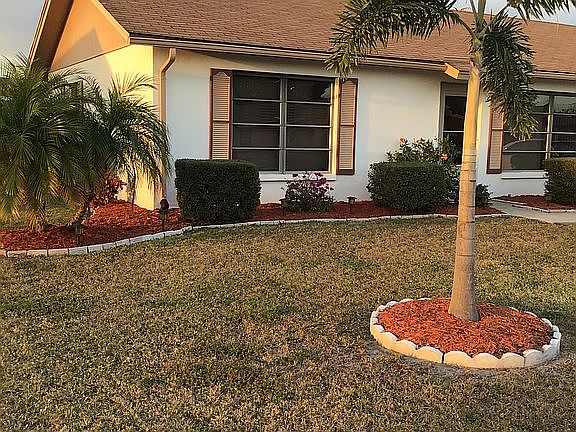 Pygmy, Foxtail & Royal Palms