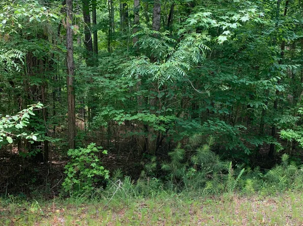 0 Bay Shore Dr, Lincolnton, GA 30817