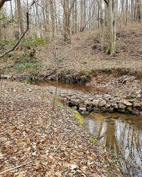 View of the creek