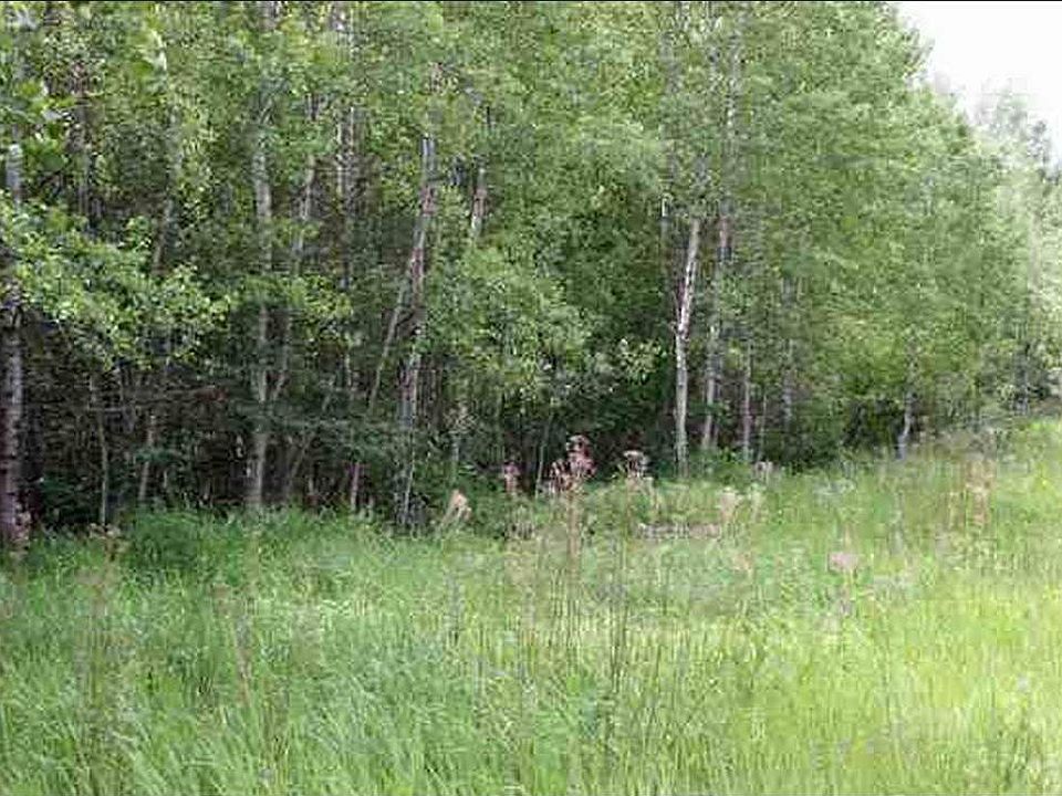 1st image of LOT E Ponderosa Dr #B