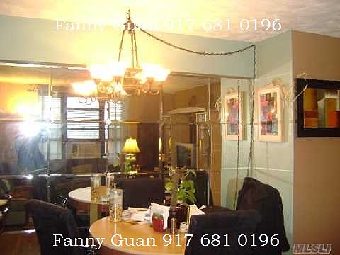 Fanny Guan 917 681 0196