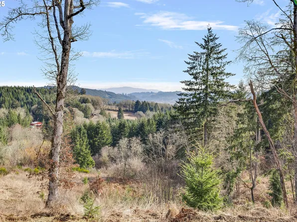 8852 SW Summit Ave, Gaston, OR 97119