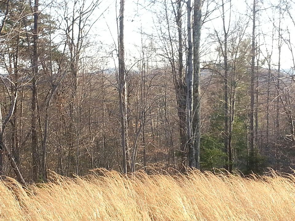 2nd image of Holley Ridge Rd