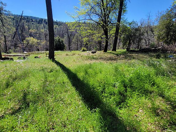 4th image of 0 Jaceys Tract Rd