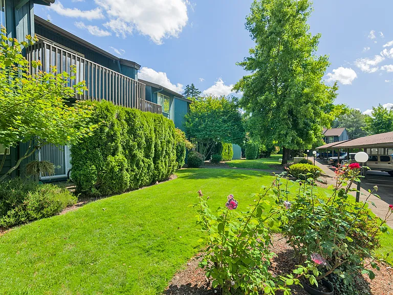 Forest Ridge Apartments — Photo 15